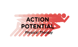 NAIOMT COMT course partner Action Potential Physical Therapy